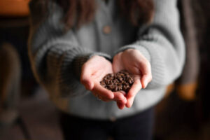 java speciality coffee